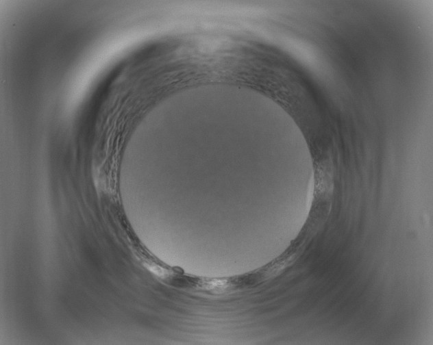 X0000078840431200612111600