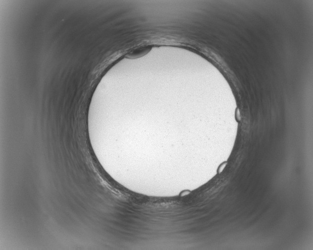 X0000078840433200612111559