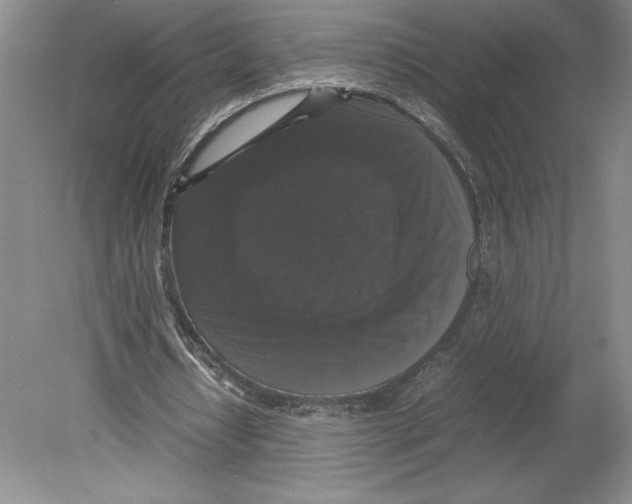 X0000078840434200612111559