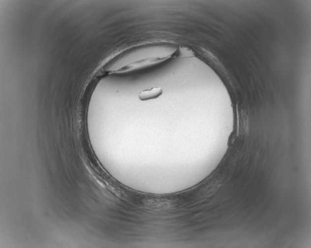 X0000078840435200612111559