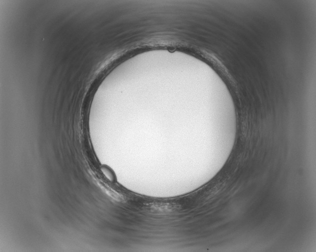 X0000078840439200612111559