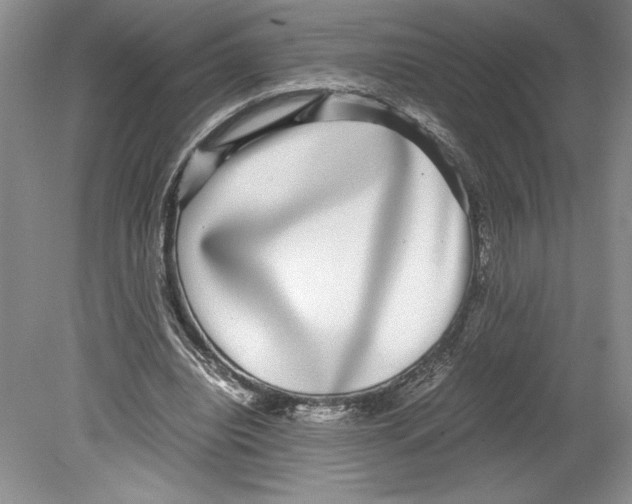 X0000078840440200612111559