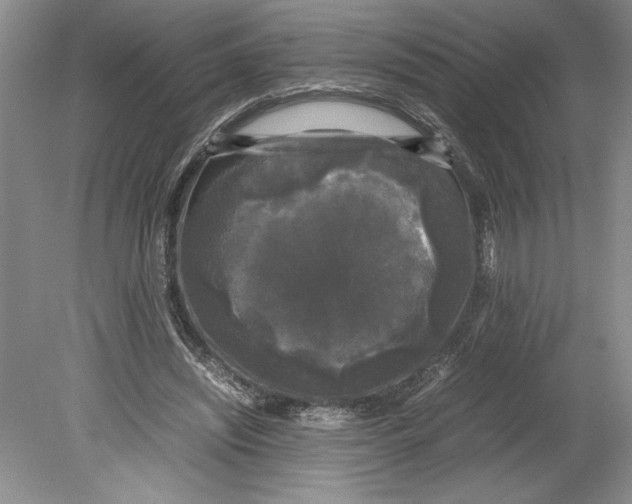 X0000078840444200612111559