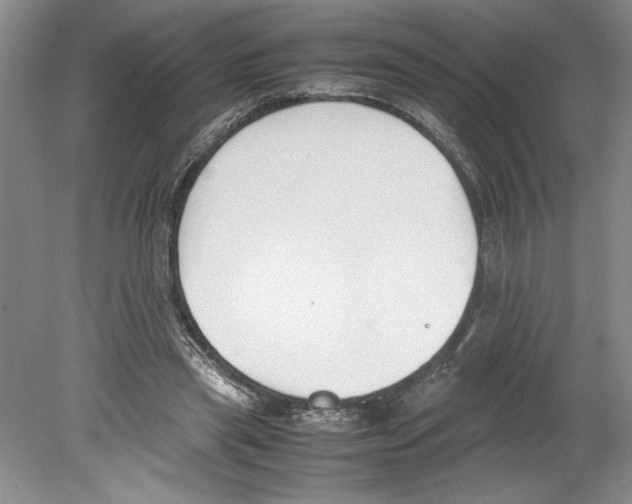 X0000078840445200612111559