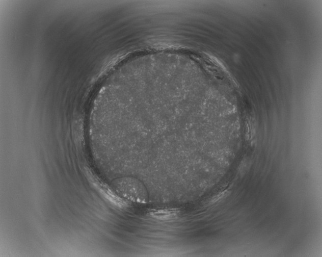 X0000078840447200612111559