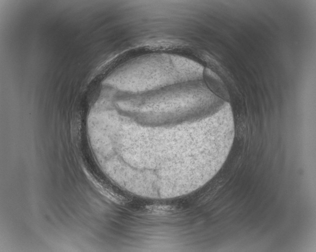 X0000078840448200612111600