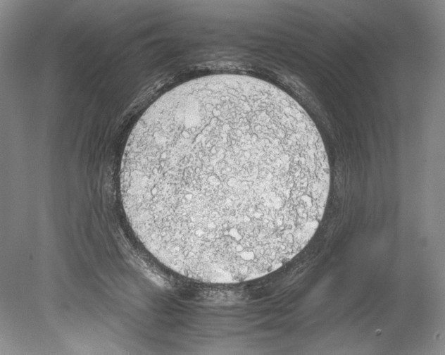 X0000078840449200612111600