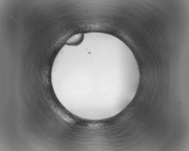 X0000078840450200612111600