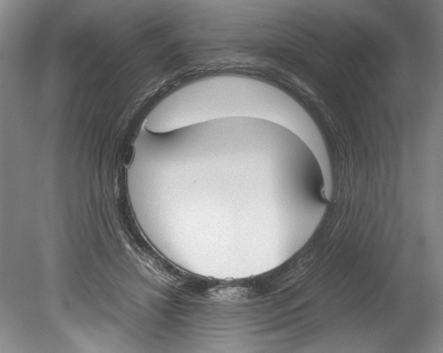 X0000078840452200612111600