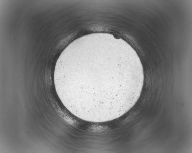 X0000078840453200612111600