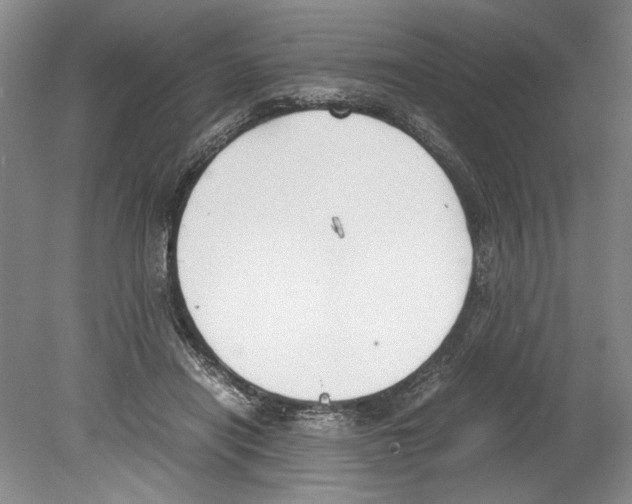 X0000078840454200612111600