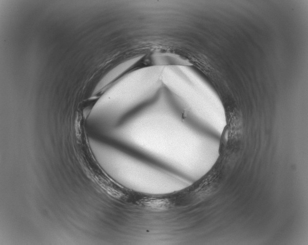 X0000078840456200612111600