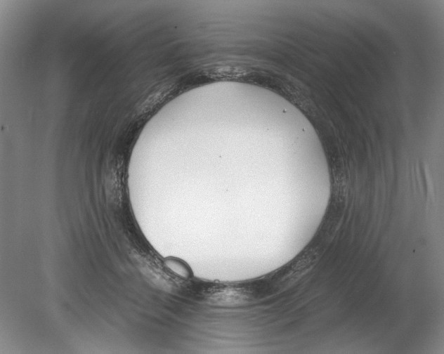 X0000078840460200612111600