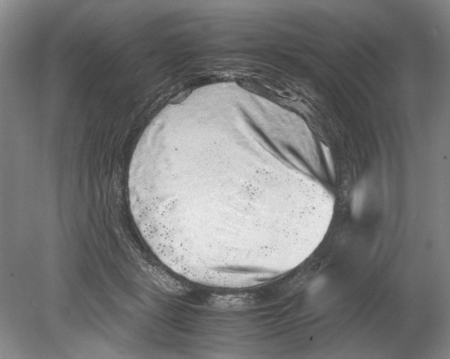 X0000078840461200612111600