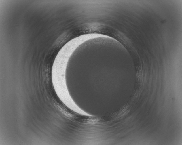 X0000078840462200612111600