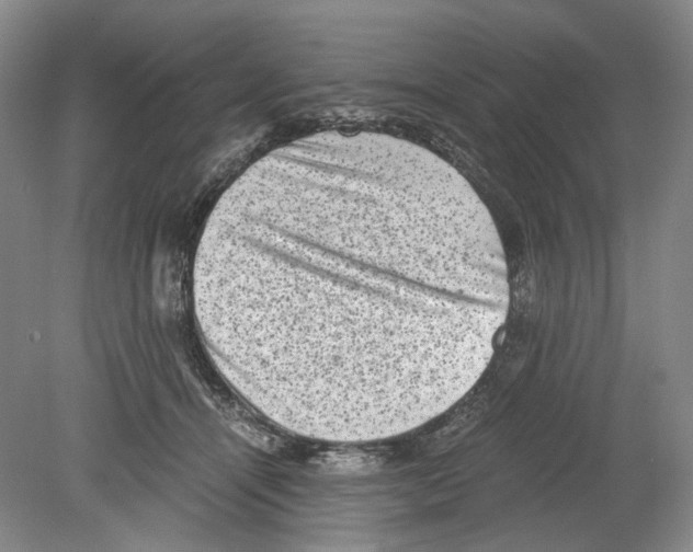 X0000078840464200612111600