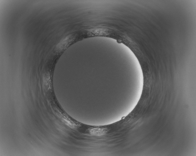 X0000078840465200612111600