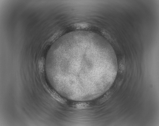 X0000078840468200612111600