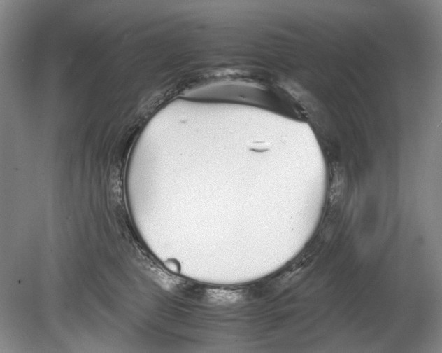 X0000078840469200612111600