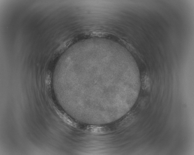 X0000078840472200612111600