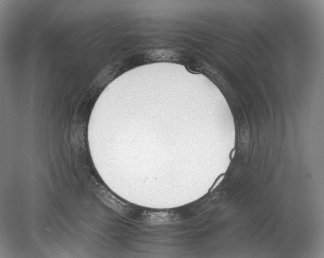 X0000078840473200612111600