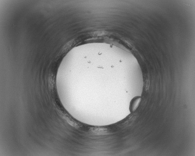 X0000078840476200612111600