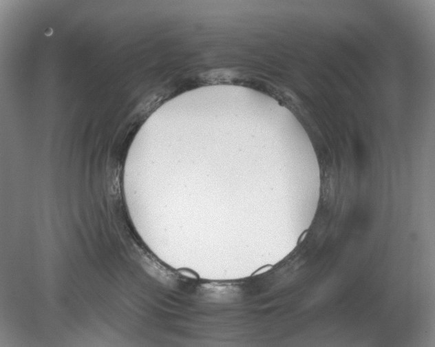 X0000078840477200612111600