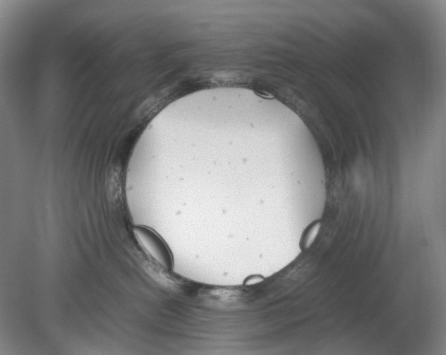 X0000078840478200612111600