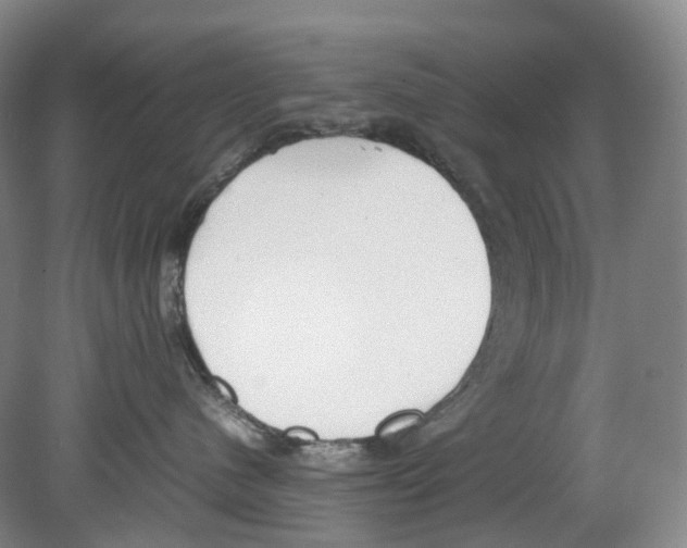 X0000078840480200612111600