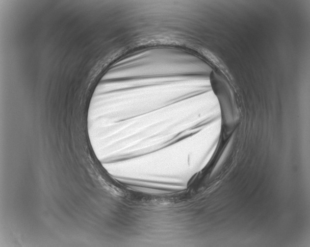 X0000078840481200612111559