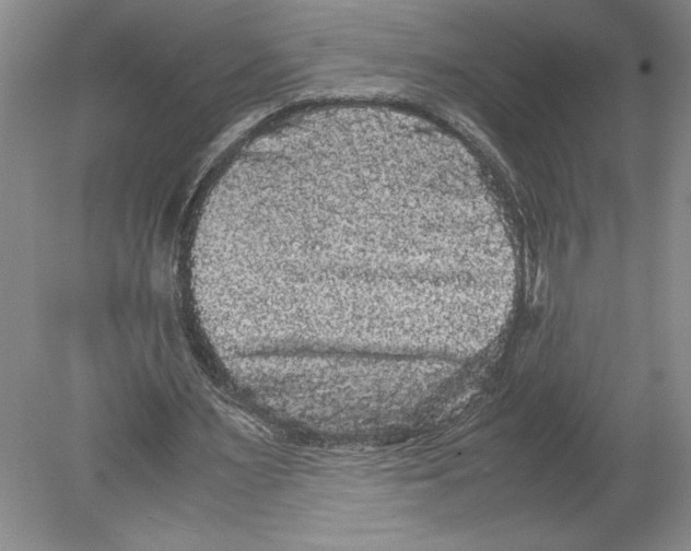 X0000078840483200612111559