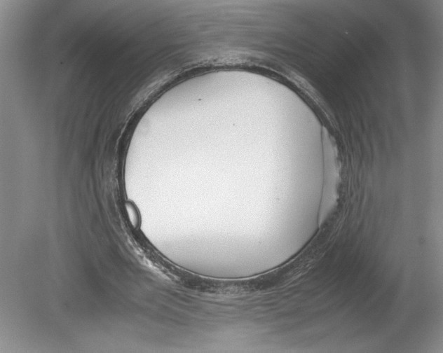 X0000078840485200612111559