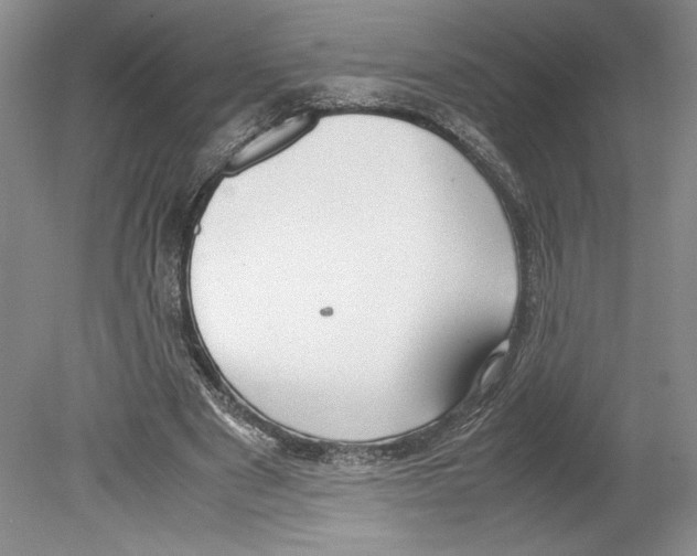 X0000078840489200612111559