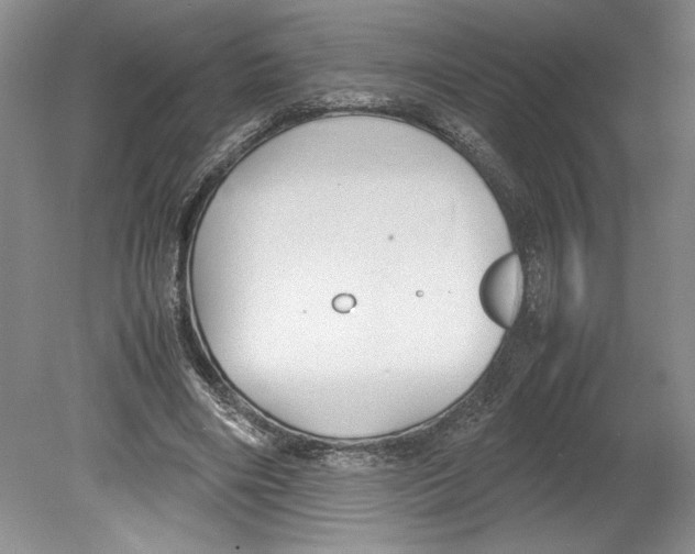 X0000078840490200612111559