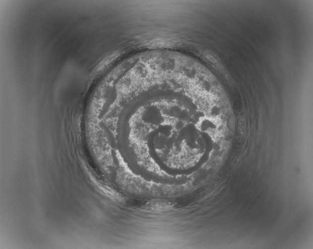 X0000078840491200612111559