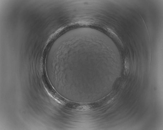 X0000078840492200612111559