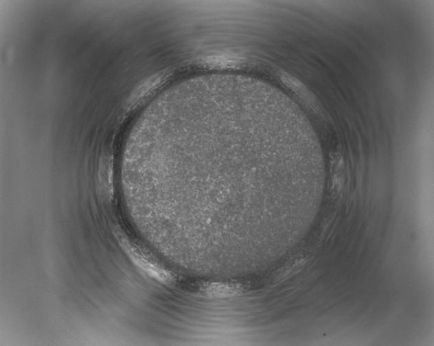 X0000078840494200612111559