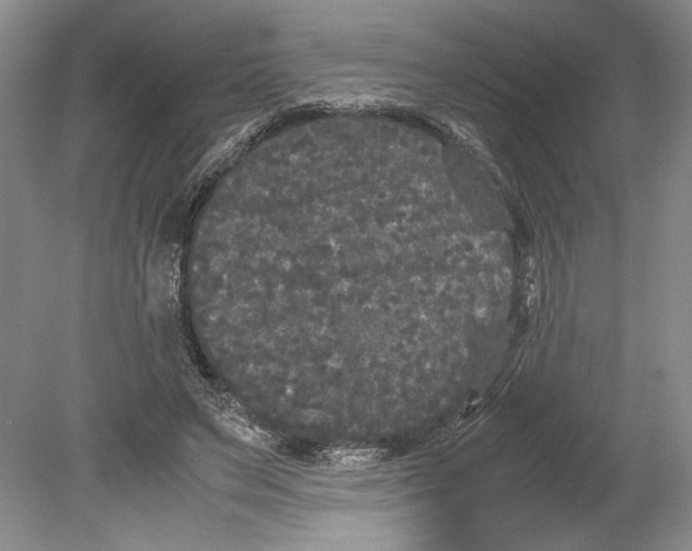 X0000078840495200612111559