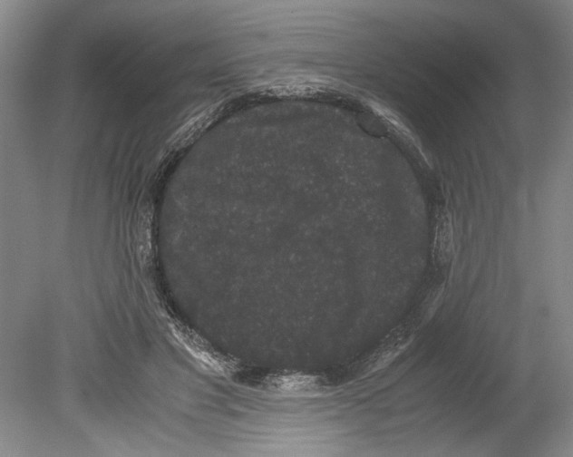 X0000078840501200612111559