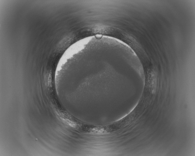 X0000078840502200612111559