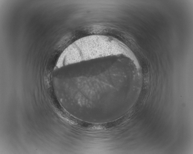 X0000078840503200612111559