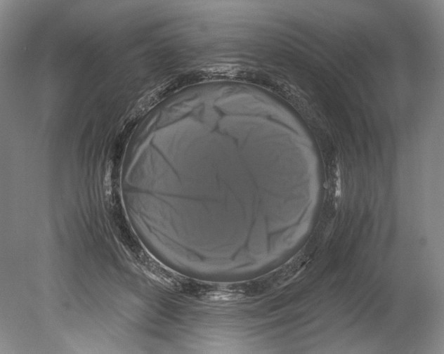 X0000078840504200612111559