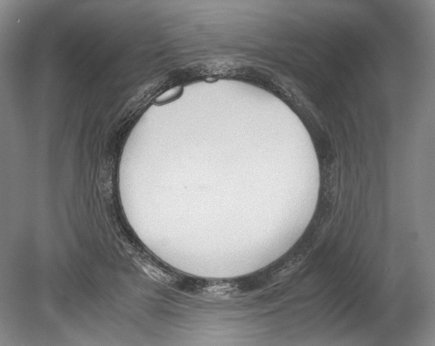 X0000078840505200612111559