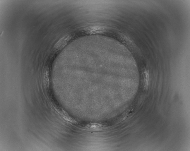 X0000078840506200612111559