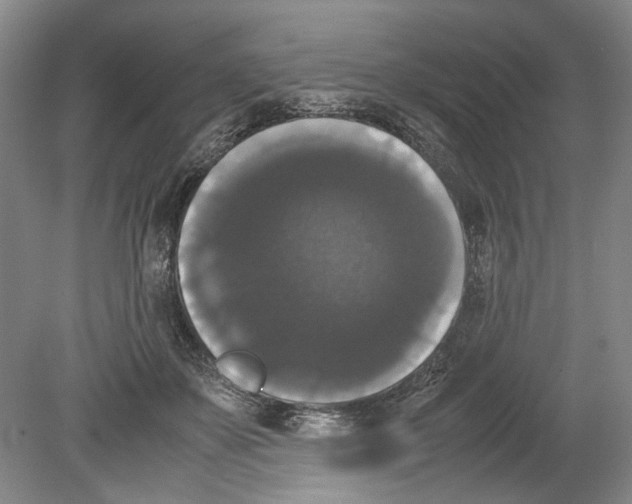 X0000078840507200612111559