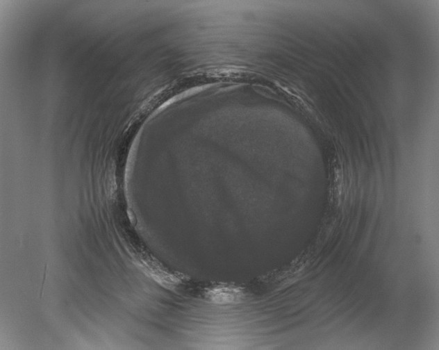 X0000078840508200612111559