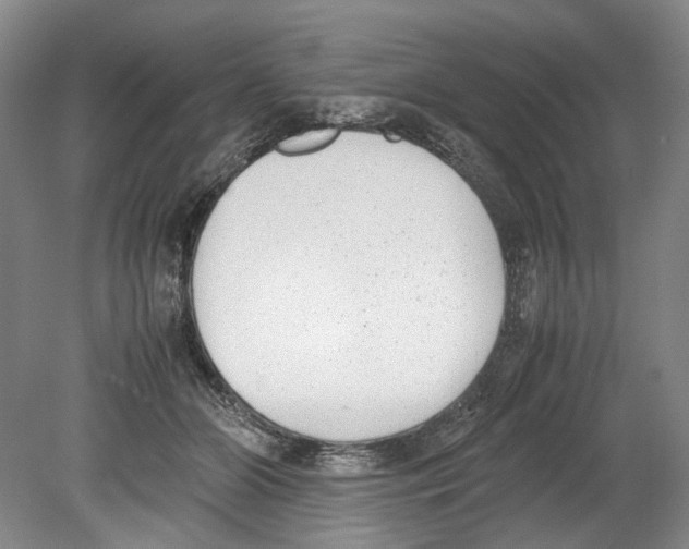 X0000078840510200612111559