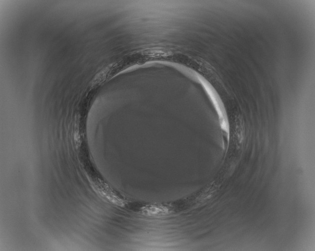 X0000078840512200612111559