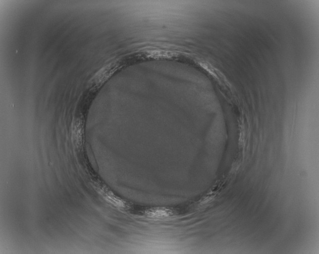 X0000078840513200612111559