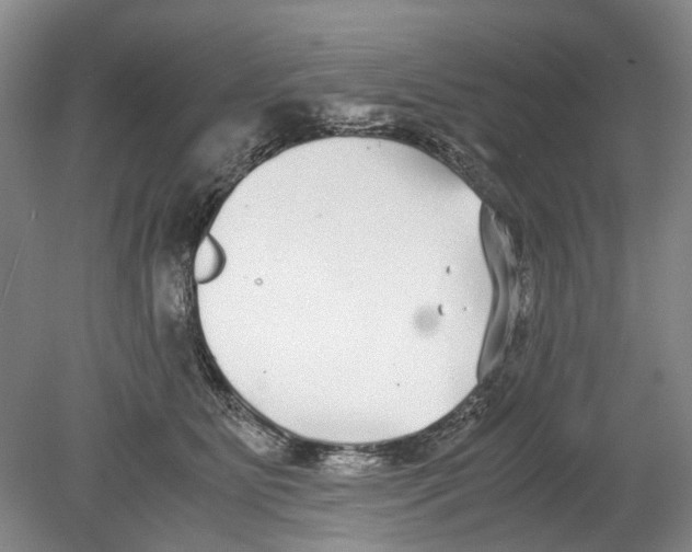 X0000078840515200612111559